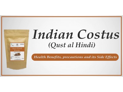 Indian Costus (Qust al Hindi) – Health Benefits, precautions and its Side Effects