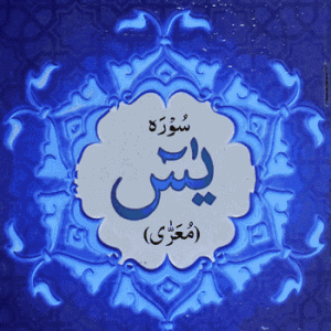 SURAH YASEEN REF NO. 3 [ 9 LINE 1CLR ] PB MEDIUM SIZE